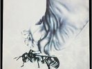 ROBERTO COLOMBO Sfogatevi Bestie ITALY Ultima Spiaggia 1976 LP Italian Jazz/Prog