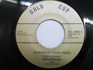 EXPLOSIONS Garden Of Four Trees GOLD CUP Nola Funk EDDIE BO VG++