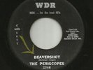 ROCKABILLY SURF TITTYSHAKER INSTRO--PERISCOPES-- BEAVERSHOT --HEAR BOTH-1965 WDR