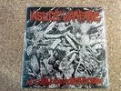 Insect Warfare At War With Grindcore 7
