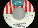 GARAGE FUZZ PSYCH - SHADY DAZE -- I'LL MAKE YOU PAY --HEAR -1967 CHICAGO U.S.A.