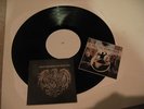 A DAY TO REMEMBER WSMFY lp TEST set your goals Devil Wears Prada blink 182 sxe