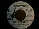 Killer fuzz psych 45 The Shadows of Knight The Behemoth Dunwich Promo VG++ HEAR