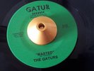 THE GATURS - WASTED / GATOR BAIT on GATUR 45 New Orleans Funk