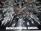 MISFITS Descending Angel 12