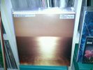 The Microphones - It Was Hot, We Stayed In The Water (Vinyl LP) Orig K 2000