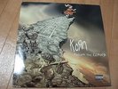 Rare Korn 