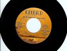RARE DISCO SOUL BOOGIE 45 VG+ RARE PLEASURE - LET ME DOWN EASY - LISTEN