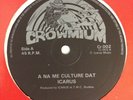 ICARUS - feel no way b/w a na me culture dat - CROWMIUM - VG++//