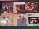 Cow-Punk – 6 Lps (Danny & Dusty,Green On Red,Los Lobos,Rave Ups,Peter Rowan) 