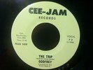 GODFREY 45 The Trip W/ Come on Come On CEE-JAM great copy GARAGE Kim Fowley