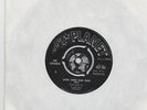 THE UNTAMED-FREAKBEAT-MOD-IT'S NOT TRUE-RARE 1965 UK PLANET RECORDS -WHO COVER