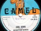 WINSTON HINES - COOL DOWN - CAMEL