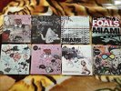 Foals 7