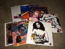 RED HOT CHILI PEPPERS - 7 ALBUMS - 180 GRAM VINYL BUNDLE - 10 LP's