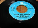 THE WINSTONS-COLOR HIM FATHER/AMEN, BROTHER-METROMEDIA