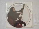 DEAD OR ALIVE-MAD BAD DANGEROUS*JAPAN LP PIC DISC VINYL*NEW SEALED*PETE BURNS