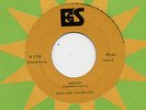 Leo Valeriano 45 Banzai – La canzone della terra perduta Beat folk