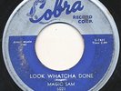 MAGIC SAM on Cobra --LOOK WHATCHA DONE-- 50s r&b blues rocker 45 | ORIG LISTEN