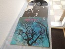 AMON DÜÜL PHALLUS DEI 1969 RARE INSERT KRAUT.LP