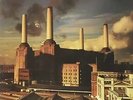 PINK FLOYD - ANIMALS - DE 77 - NM