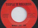 FOUR SONICS - WHERE ARE YOU - BLUE VELVET