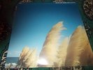 Jimmy Eat World-Static Prevails Lp + PROMO 7