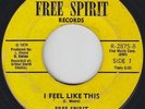 Funk 45 - Free Spirit - I Feel Like This - Private - mp3 - unknown?