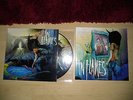 In Flames Picture Vinyl Lp A sense of Purpose und The Mirrors Truth Topzustand