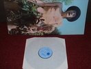 FLEETWOOD MAC Mr Wonderful LP 1968 MONO 1st Press BLUE HORIZON