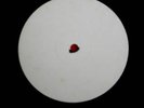 THE SMITHS -Panic-Rare UK 12