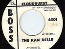 Kan Dells 45 