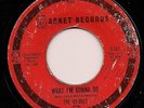 THE VY-DELS What I'm Gonna Do Unknown GARNET Chicago Garage Surf BFTG LISTEN