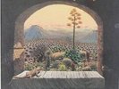 New Riders of the Purple Sage Brujo 1974 LP Inner sleeve