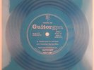Musiconics International demo Guitorgan/Bob Wiley plays Models 340 & B300 FLEXI