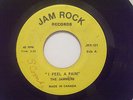 REGGAE- THE JAMMERS - I FEEL A PAIN RARE CANADIAN ROOTS on JAM ROCK 7