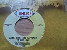 THE RINGLEADERS  -  BABY , WHAT HAS HAPPENED TO OUR LOVE  M - Pac 