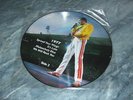 QUEEN - 1973 -1977 - PICTURE DISC LP ( MINT CONDITION)