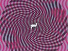 Cryptograms / Flourescent Grey - Deerhunter - LP VINYL - Fast UK Post