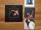 Tamaryn Vinyl Bundle Troubleman True Panther M'lady Vue Dum Dum Girls Crocodiles