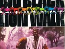 BIG BLACK lion walk_u.s. UNI LP 73033_ori 1969 AFRO JAZZ FUNK