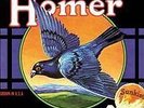 Grown In U.S.A. - Homer - LP VINYL - Fast UK Post
