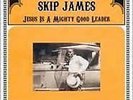 Jesus Is A Mighty Good Leader - James, Skip - LP VINYL - Fast UK Post
