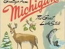 Michigan - Stevens, Sufjan - LP VINYL - Fast UK Post