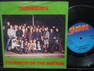 TEENBEATS- Strenght of the nation- 7