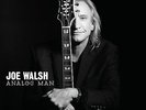 JOE WALSH  Analog Man 180gm + MP3 Download Vinyl LP NEW & SEALED