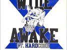 ? WIDE AWAKE - Last Straw // CT sXe 1988 // Schism #04 // JUDGE, PROJECT X ?