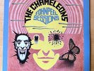 LP The Chameleons - John Peel Sessions