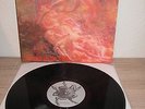 Morbid Angel - Blessed are the Sick 12