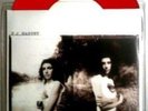 PJ Harvey 7
